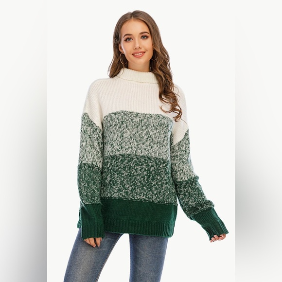 Color Block Turtleneck Knit Pullover - Picture 1 of 9
